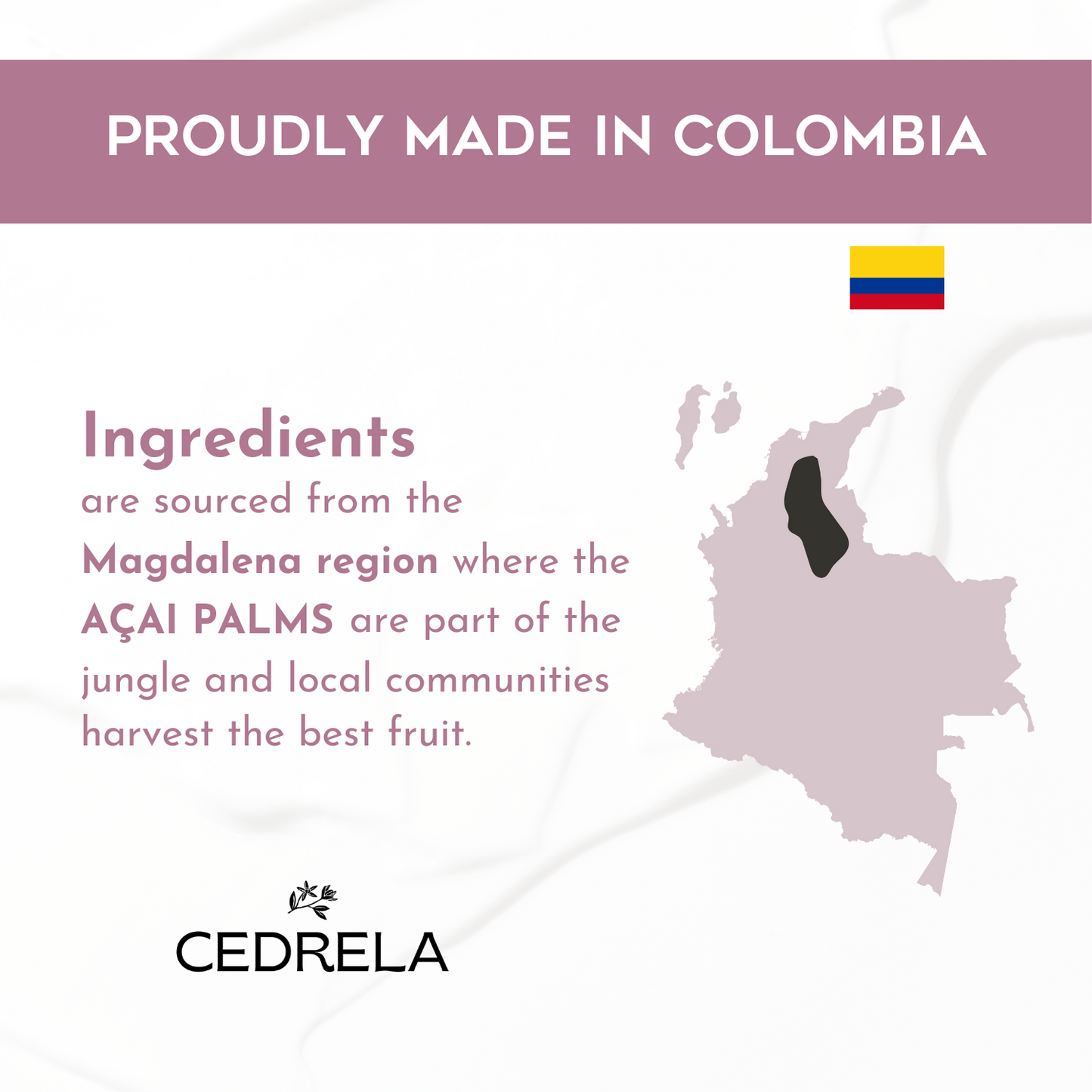 Cedrela Suero Anti-envejecimiento Día Noche Anti-arrugas Postbióticos Acai Bio Emulsión Aceite de Cacay Rellena la Piel Antioxidante Vegano Sin Parabenos 1 oz Suero antiedad Probióticos